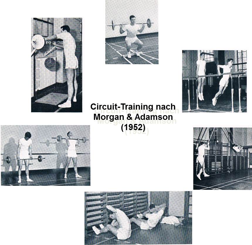 Circuit-Training nach Morgan und Adamson (Dr. Klee)