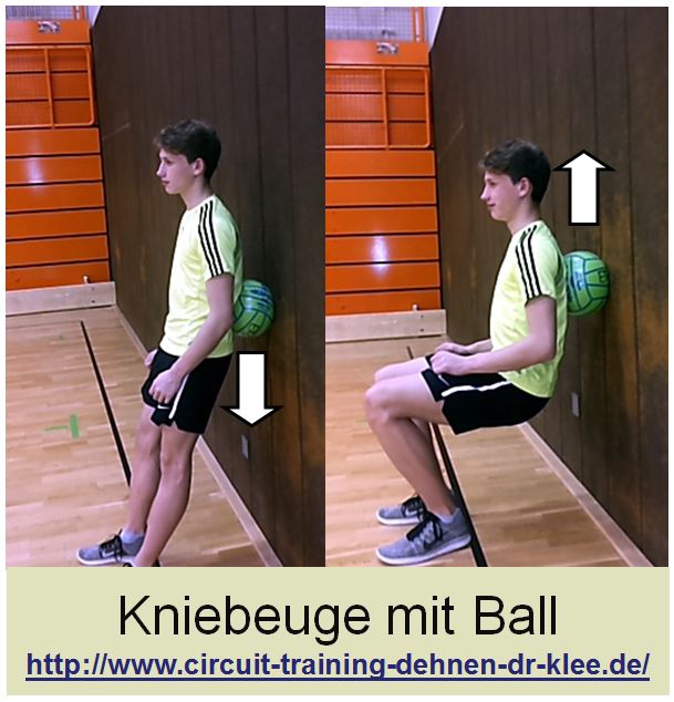 Circuit Training Übung Kniebeuge mit Ball